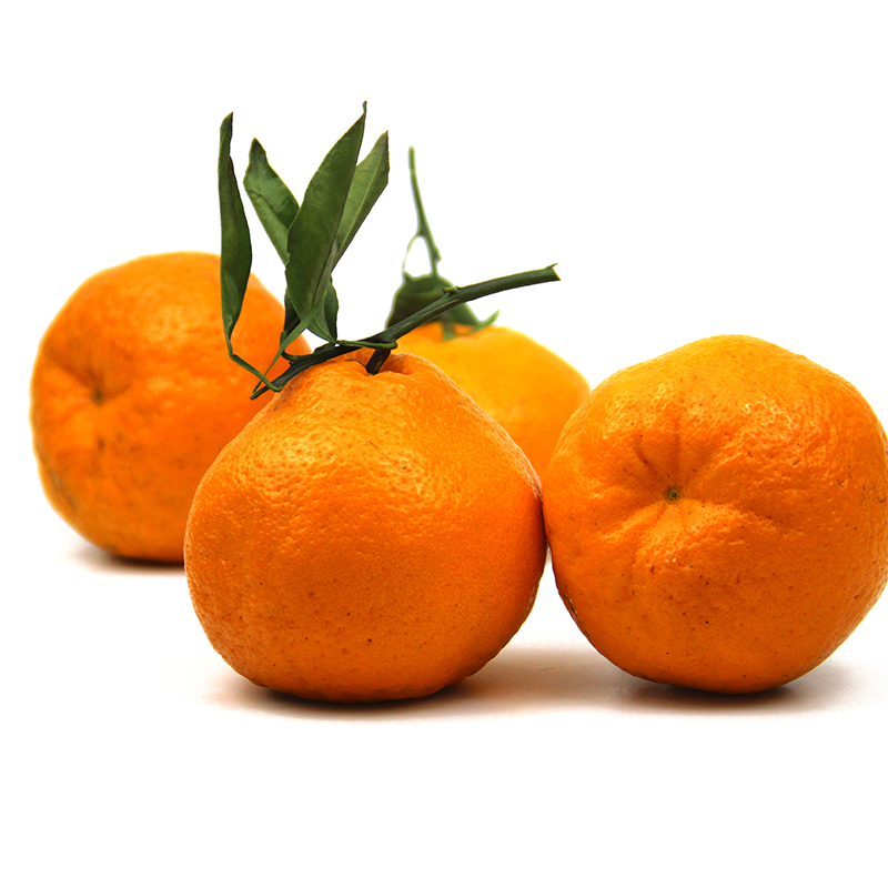 精品丑橘约500克