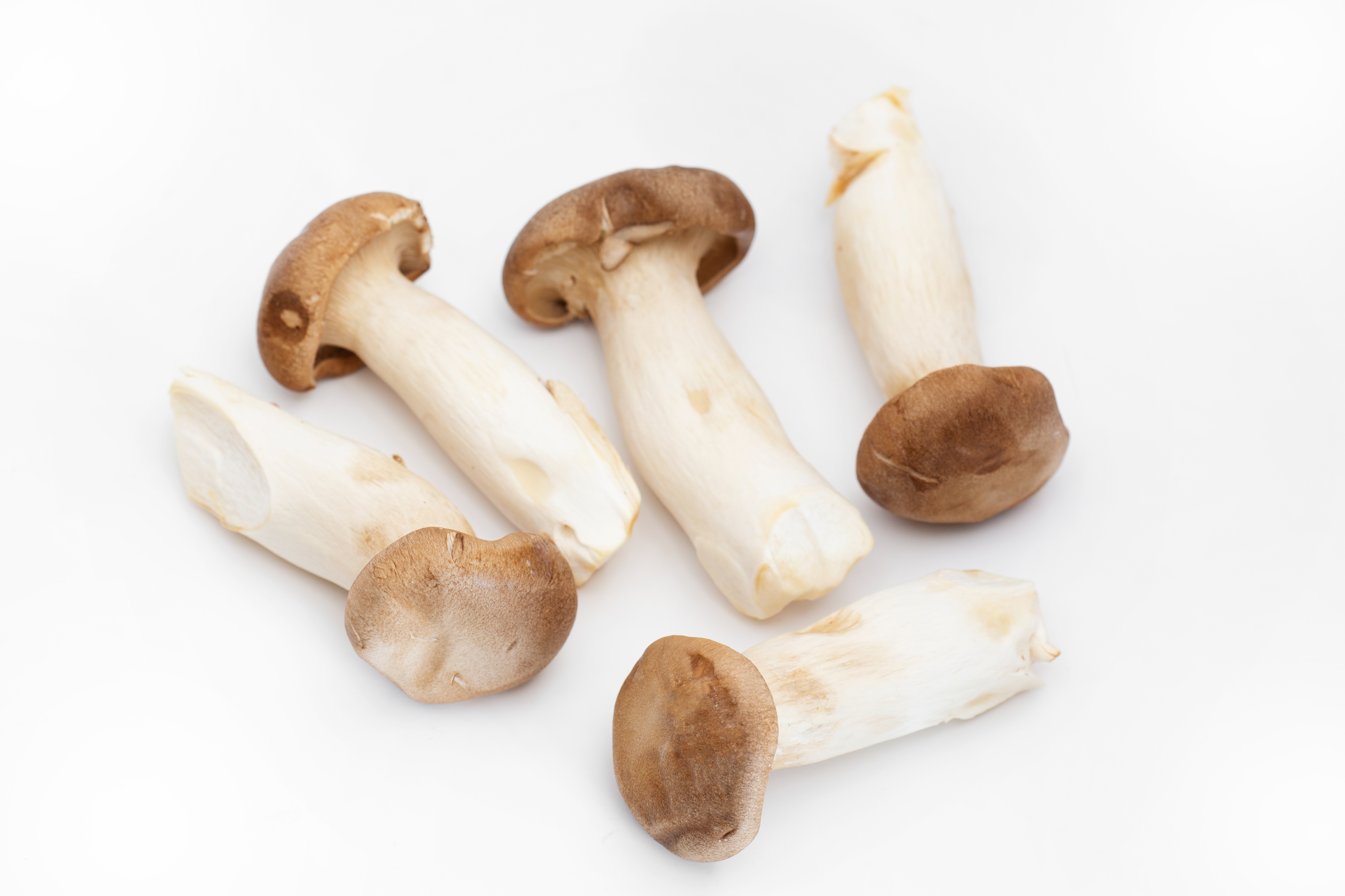 新鲜杏鲍菇1公斤