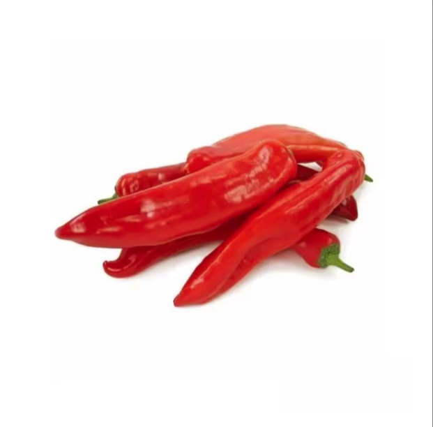 新鲜红椒1公斤