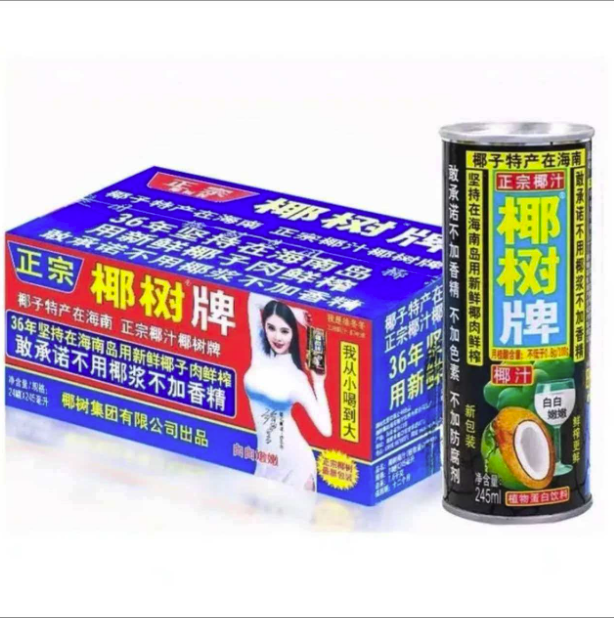 椰树椰汁植物蛋白饮料245ml*24罐/箱