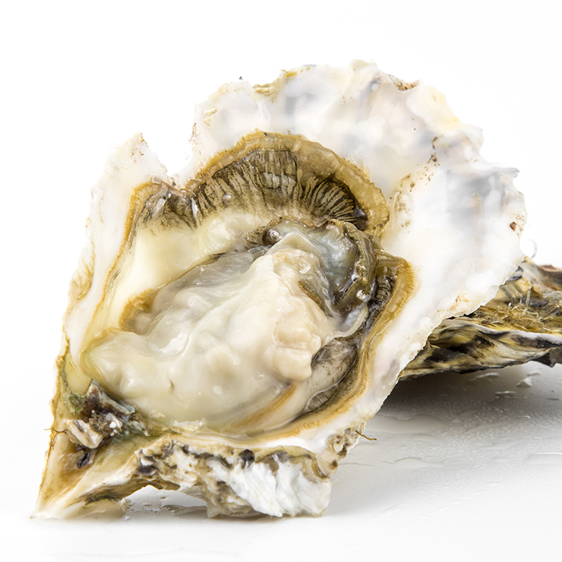 生蚝